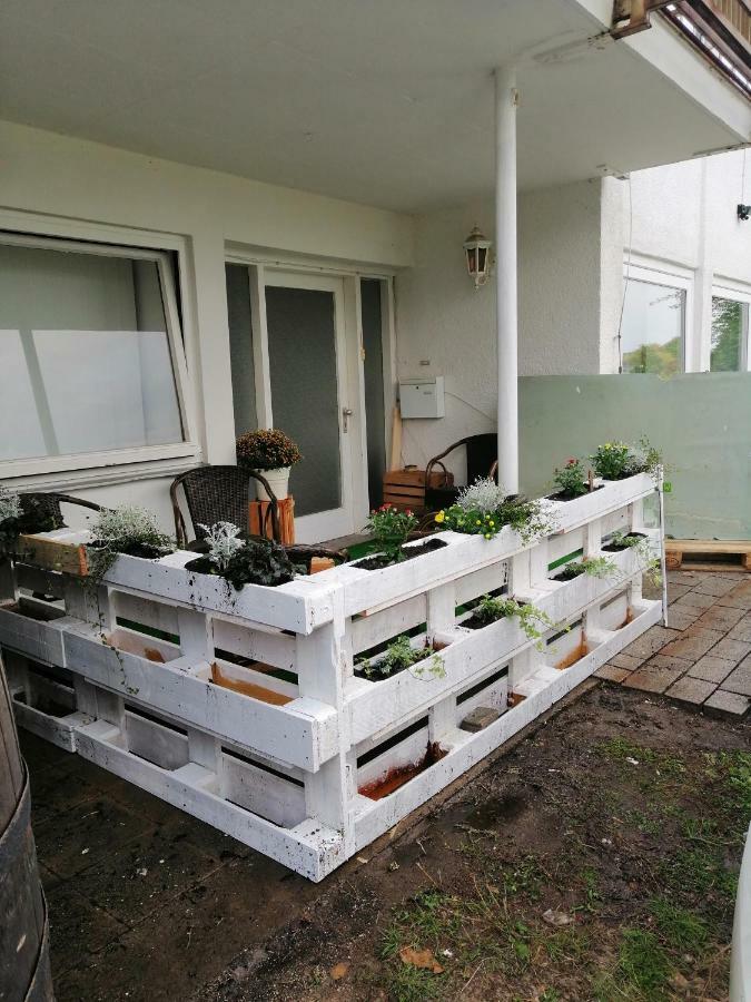 Froschkoenig Appartement Gladenbach