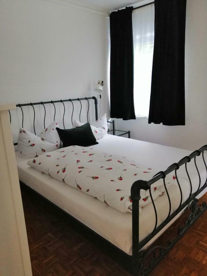 Froschkoenig Apartment